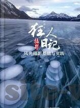 手机版森林舞会技巧-手机版森林舞会技巧，提升游戏体验的实用指南