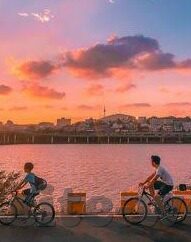 足球比分直播网188-深度解析，足球比分直播网188——球迷的实时观赛新选择